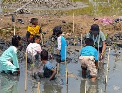 BEM Vokasi UI Sosialisasikan Pentingnya Mangrove juga Pemasangan Lampu Panel Surya