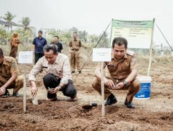 Pertama di Jawa Barat, Wabup Yana Buka Kegiatan Training Of Farmer untuk Petani Milenial Ciamis