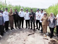 Pangdam XII/Tpr Dampingi Mentan RI Tinjau Lokasi Food Estate