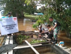 Sukseskan Ketahanan Pangan, Babinsa Koramil 1204-07/Tayan Hilir Tabur Benih Ikan Nila