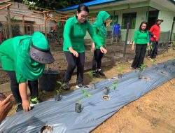 Persit KCK Cabang L Kodim 1206/Putussibau Laksanakan Penanaman Benih Di Kebun Toga Kodim 1206/Putussibau