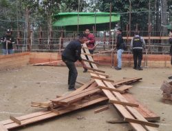 Polres Sintang Grebek Dua Lokasi Yang Menjadi Fasilitas Praktek Judi Sabung Ayam