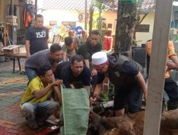 Kecamatan Kebayoran Lama Melaksanakan Pemotongan Hewan Kurban Pada Hari Raya Idul Adha 1445 H