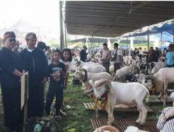 Pesta Patok Piala Bupati, Ade Sugianto: Dorong Potensi Ekonomi Unggulan Tasikmalaya