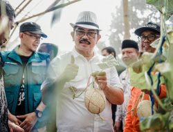 Hadiri Panen Raya Melon, Pj Bupati Apresiasi Keberadaan Rumah Zakat Berdayakan Perekonomian Masyarakat