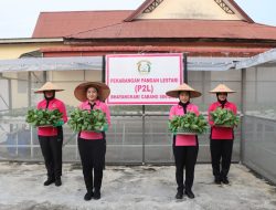 Bhayangkari Cabang Sintang Sukses Panen Tanaman Pak Coy dari Program Pekarangan Pangan Lestari (P2L)