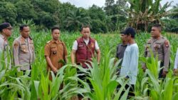 Dirreskrimum Polda Kalbar Kunjungi Kecamatan Banyuke Hulu Kegiatan Asistensi Ketahanan Pangan